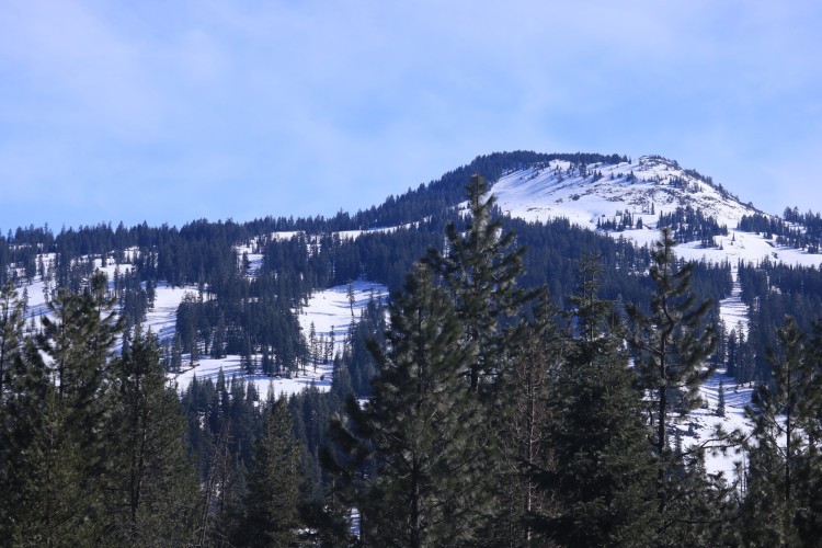 view of mountain while snowshoeing under blue sky with trees in foreground at local sno-park near lake of the woods