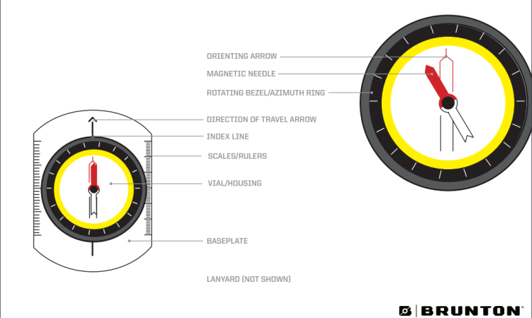 diagram showing compass anatomy 