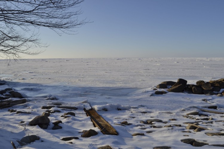 snowy rocks and lake in Buffalo NY