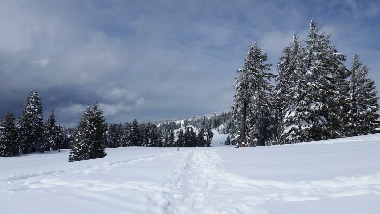 Crater Lake National Park in winter: snow filled trail with storm clouds in background