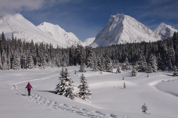 snowshoer in distance on Chester Lake Trail in Alberta