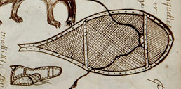 Detail from page 19 of the Codex canadensis.