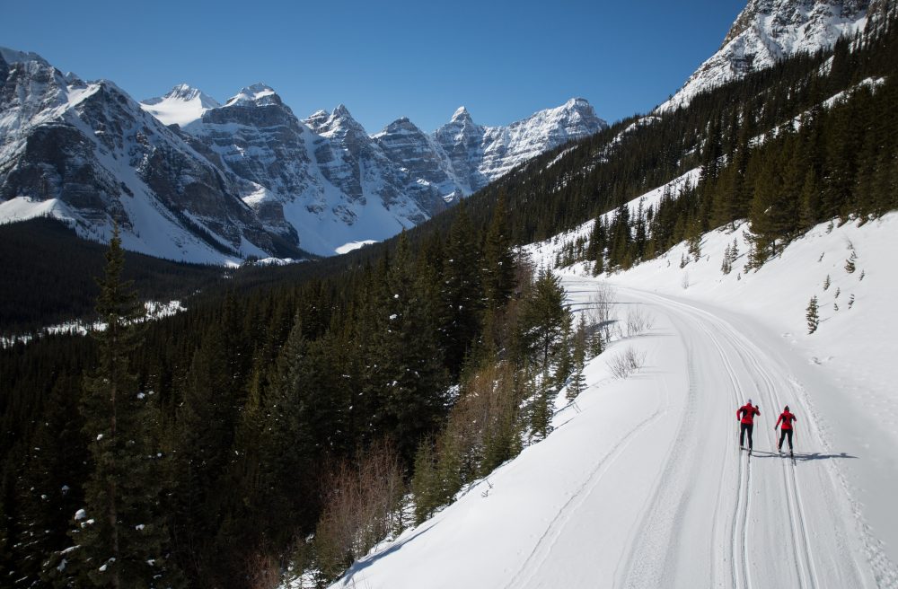 xc skiers on Lake Moraine Rd near Lake Louise