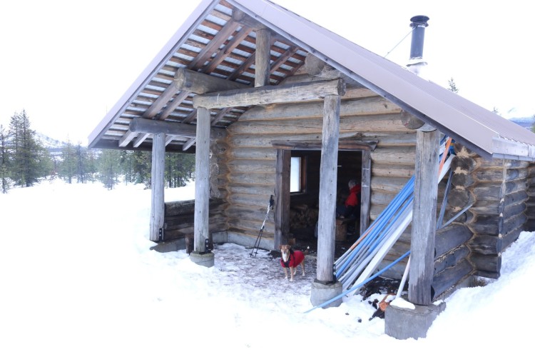 Bradenburg Shelter with snow and dog in front