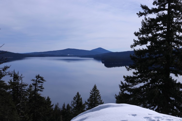 snowshoeing Willamette Pass: view of a lake with trees in foreground and trees on side
