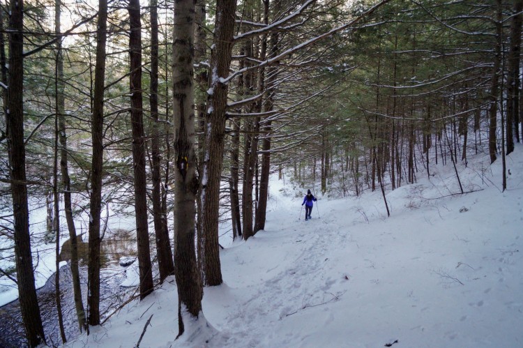 person in background snowshoeing in Bear Brook State Park 