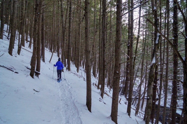 person snowshoeing through trees along Bear Brook Trail in New Hampshire 