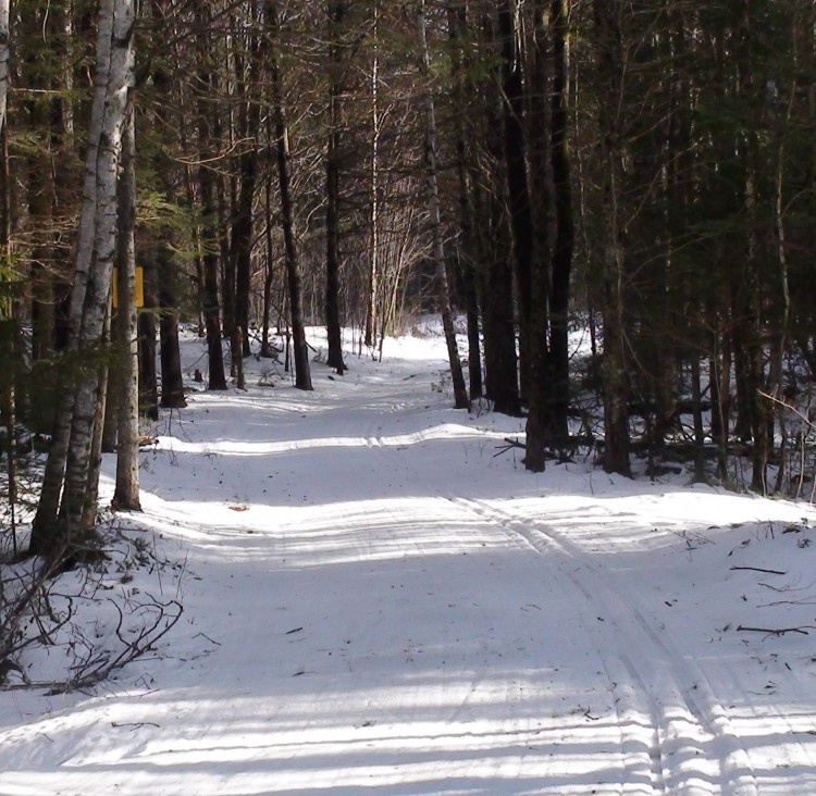trail at Kingdom Trails network in Vermont