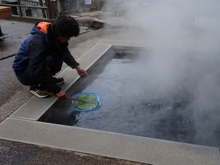 person steaming spinach near a hot spring