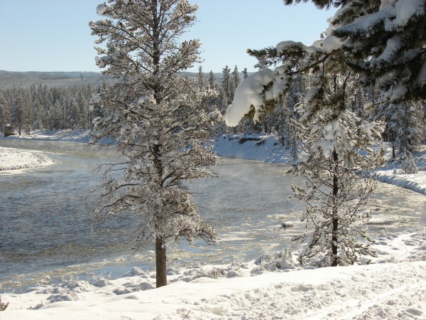 Plan for inspiring views along the Upriver Loop in Yellowstone National Park.