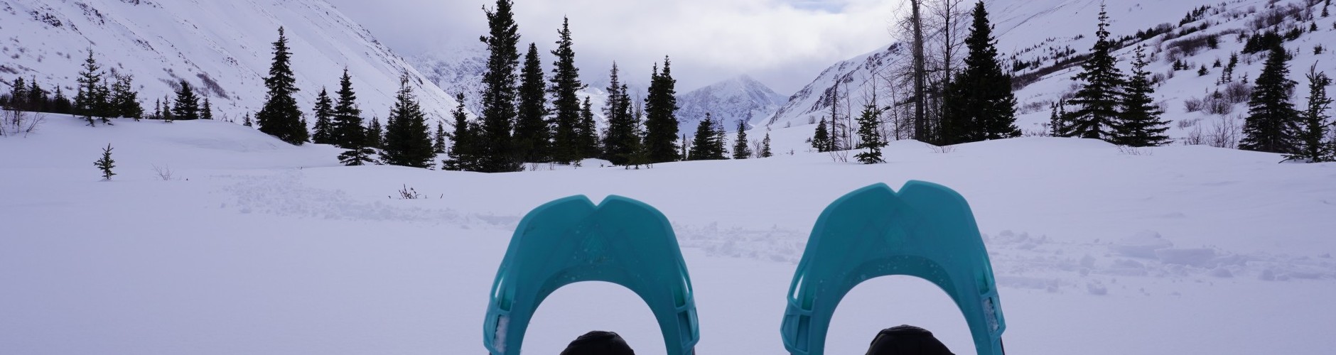 snowshoes with boots in front of snowy view