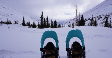 snowshoes with boots in front of snowy view