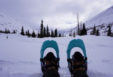 snowshoes with boots in front of snowy view
