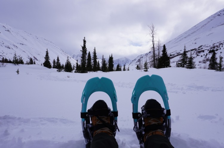 snowshoes with boots in front of snowy view