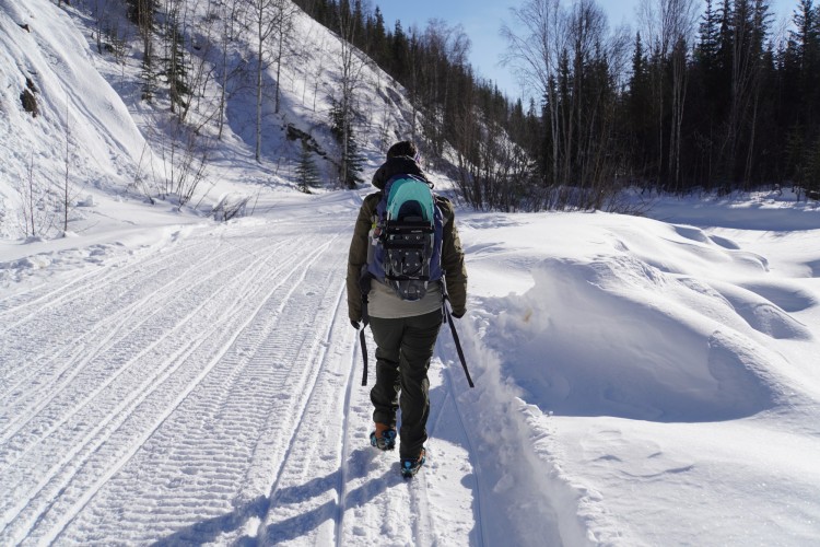 person walking ahead with snowshoes strapped to their pack