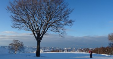 open blue sky with single tree in the foreground and mountains in background