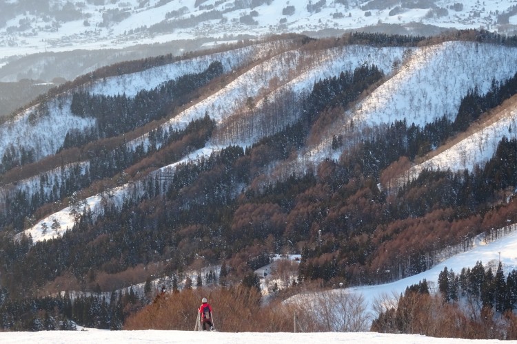 ski slopes near Nozawa Onsen