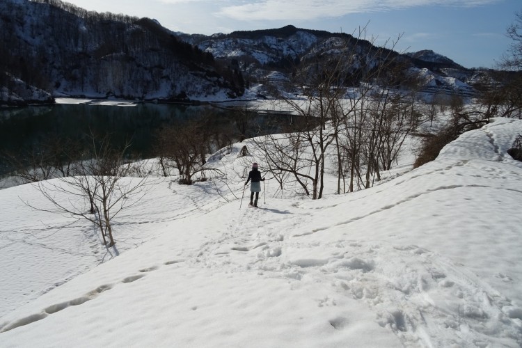 snowshoeing near Sanjo, Niigata: person in distance on snowshoe trail with snowshoe tracks in foreground and mountains in background