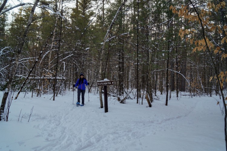 person snowshoeing Little Bear Trail near trail sign in Bear Brook State Park, NH 