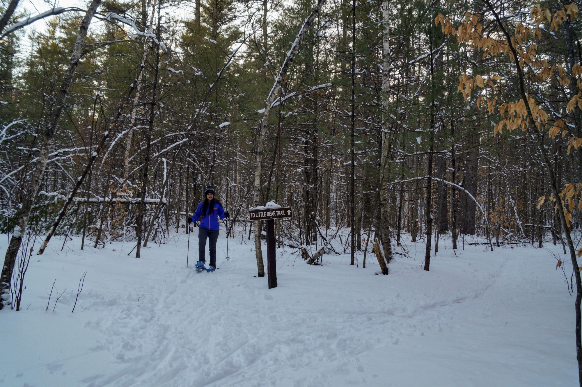 Snowshoeing at Bear Brook State Park, NH Courtesy of the CCC