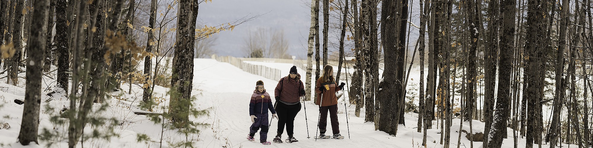 group of snowshoers in background between trees
