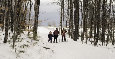 group of snowshoers in background between trees
