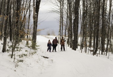 group of snowshoers in background between trees