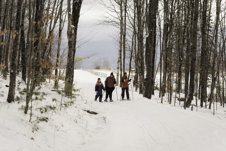 group of snowshoers in background between trees