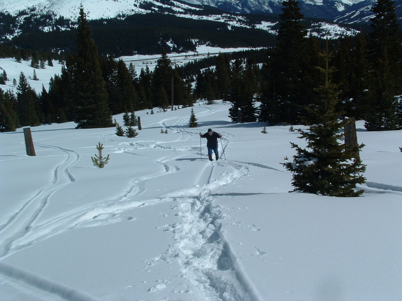 DSCF0069 snowshoer with poles far off in the distance