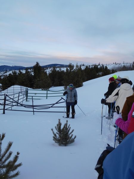 guide pointing out snowshoe hare tracks on tour at Frisco Adventure Park