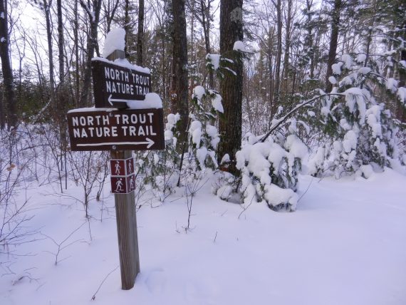 trail sign in winter at Trout Lake, Wisconsin