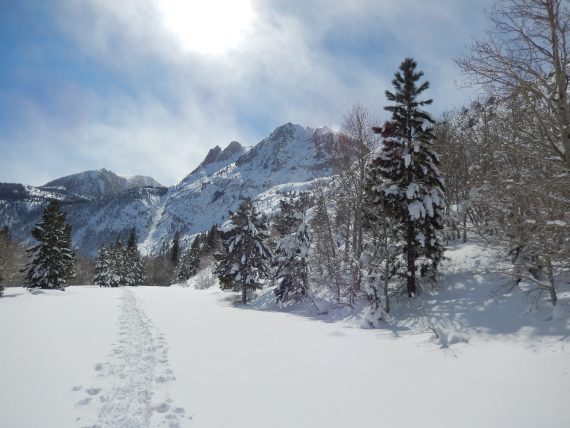 tracks on left, sun in sky, trees on right, Silver Lake CA