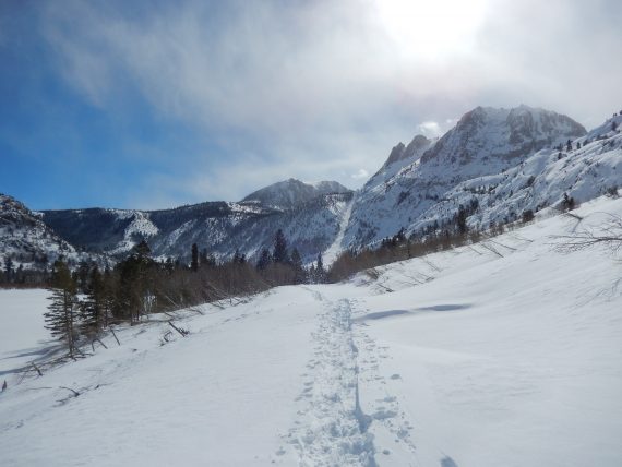 Snowshoe tracks Silver Lake CA