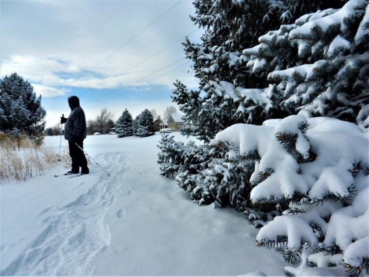man looking back while on snowshoes with snow covered tree to the side