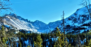 snow covered mountains beneath blue sky and trees in foreground
