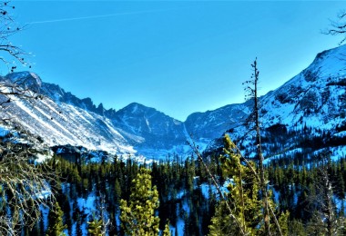 snow covered mountains beneath blue sky and trees in foreground