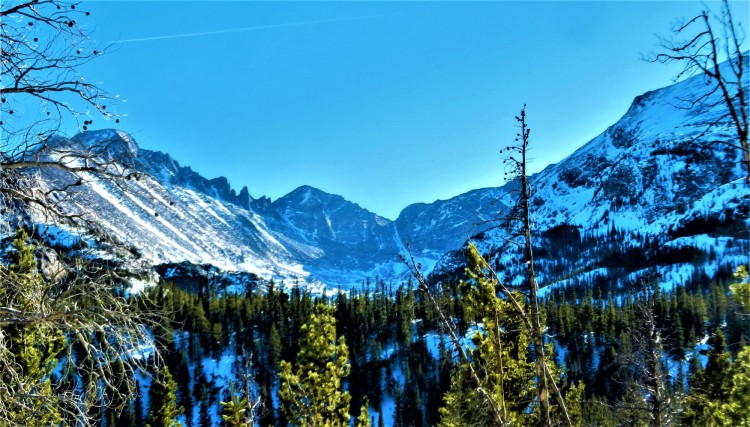 tips for rmnp winter: snow covered mountains beneath blue sky and trees in foreground