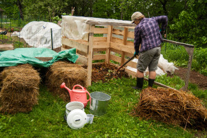 The author is back to gardening everyday, improving her and her soils health. 