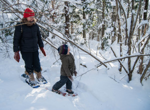 Admiring the snow-frosted trees. 