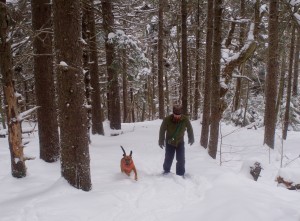 Another snowshoe hiker and his dog head to the summit.
