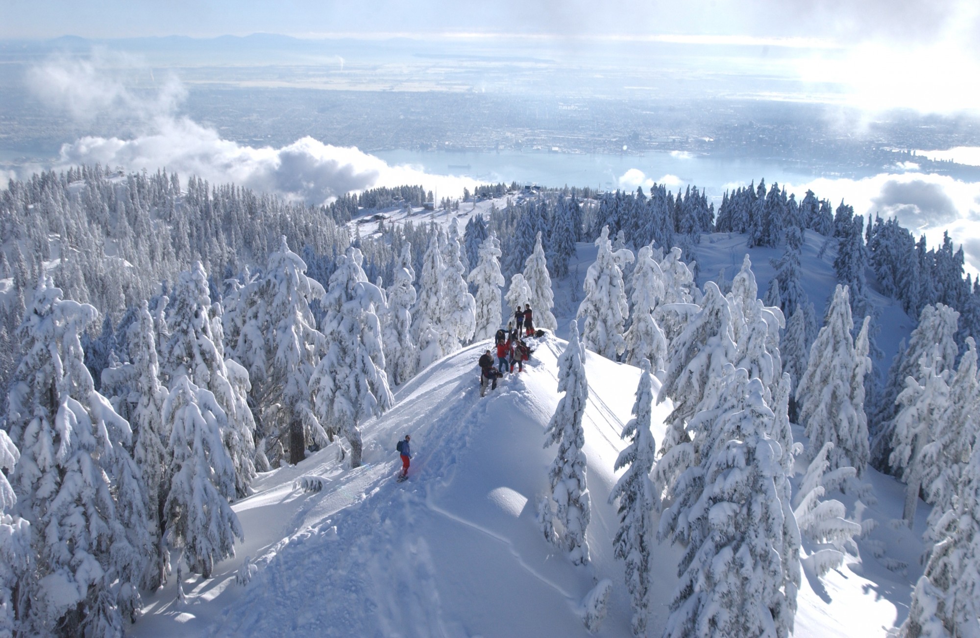 view of Grouse Mountain, BC