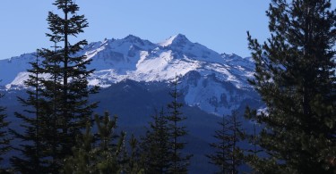 Diamond Peak in distance with trees in foreground from Fuji shelter