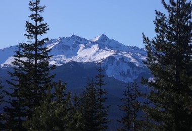 Diamond Peak in distance with trees in foreground from Fuji shelter