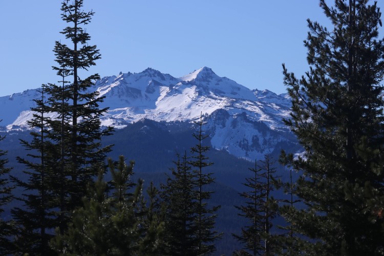 snowshoeing Willamette Pass: Diamond Peak in distance with trees in foreground from Fuji shelter 