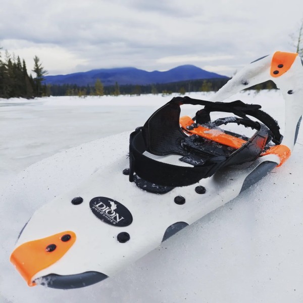 close up of Dion Snowshoe with mountains in background