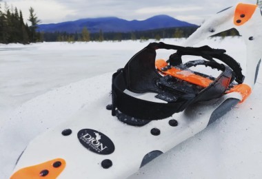 close up of Dion Snowshoe with mountains in background