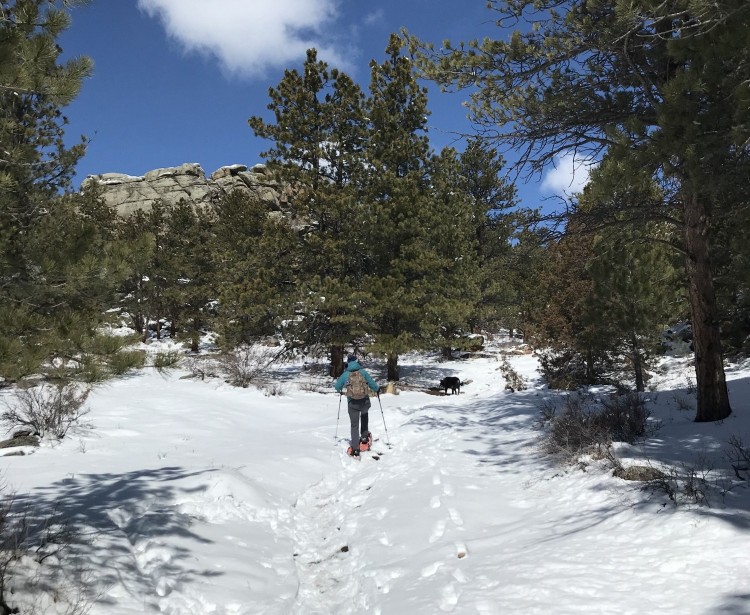 Snowshoeing For Beginners The First Timer's Guide • Snowshoe Mag