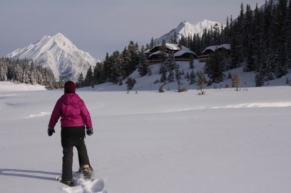 Exploring Meadow outside Engadine Lodge