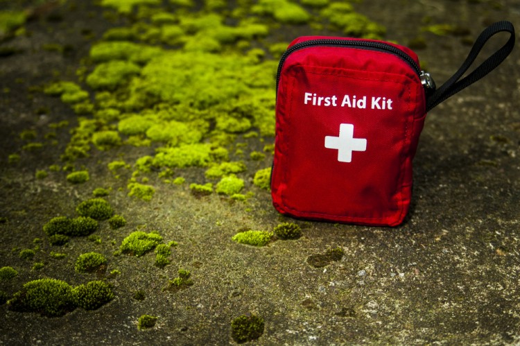 first aid kit sitting on ground next to lichen