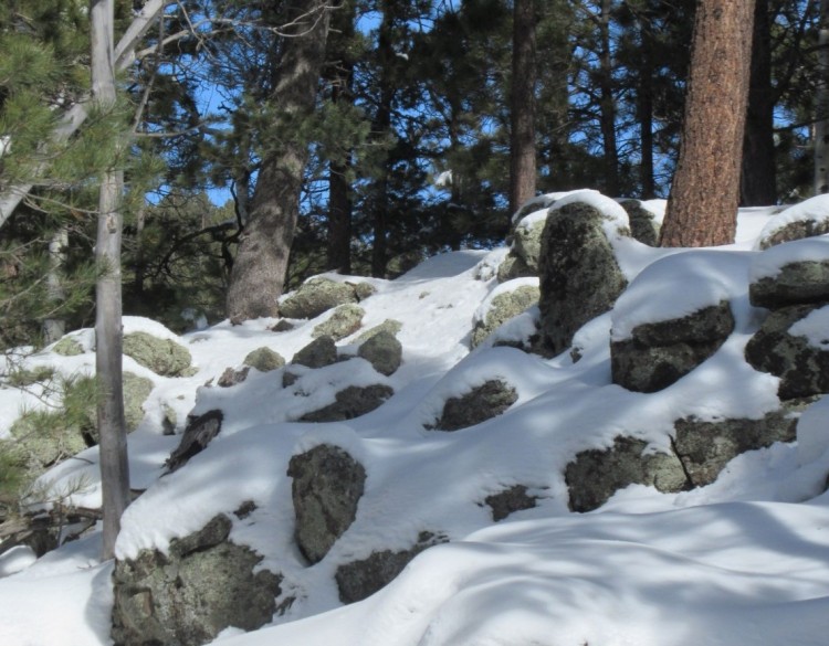 volcanic rocks covered in snow - Flagstaff AZ